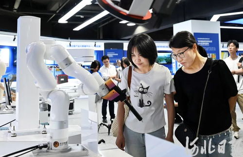 雄安新區(qū) 軟件開發(fā)驅(qū)動AI產(chǎn)業(yè)新生態(tài)加速形成